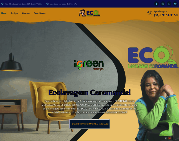 Ecolavagemcoromandel.com.br thumbnail