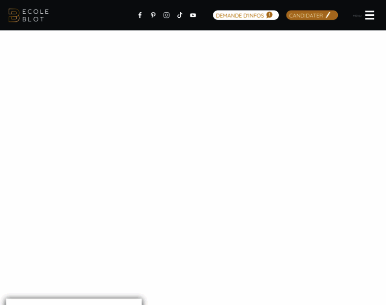 Ecole-blot.com thumbnail