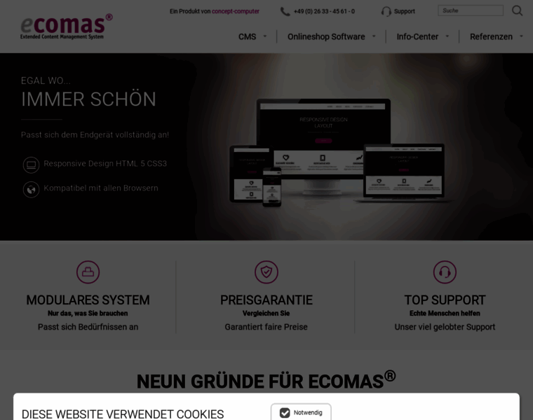 Ecomas-cms.de thumbnail