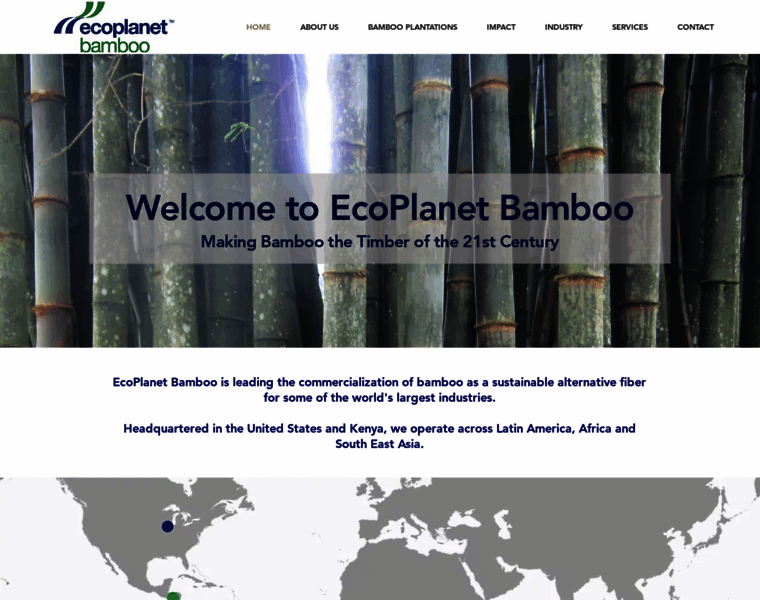 Ecoplanetbamboo.com thumbnail