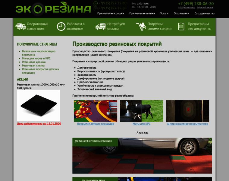 Ecorezina.ru thumbnail