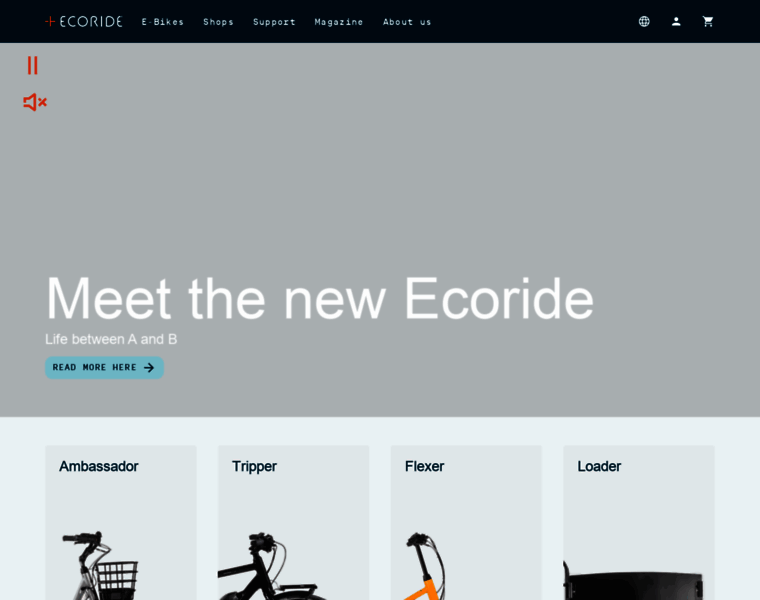 Ecoride.dk thumbnail