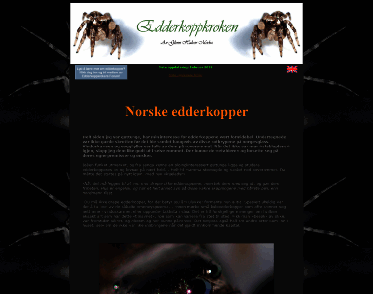 Edderkopper.net thumbnail