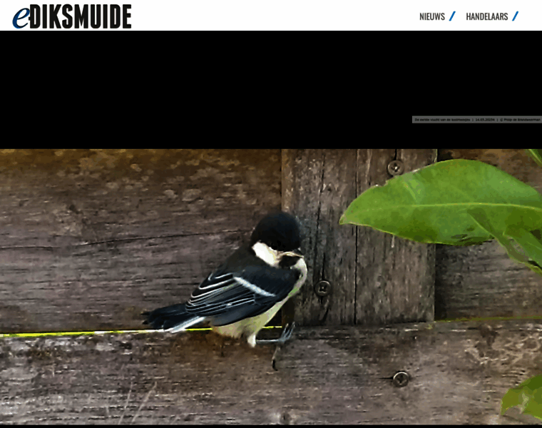 Ediksmuide.be thumbnail