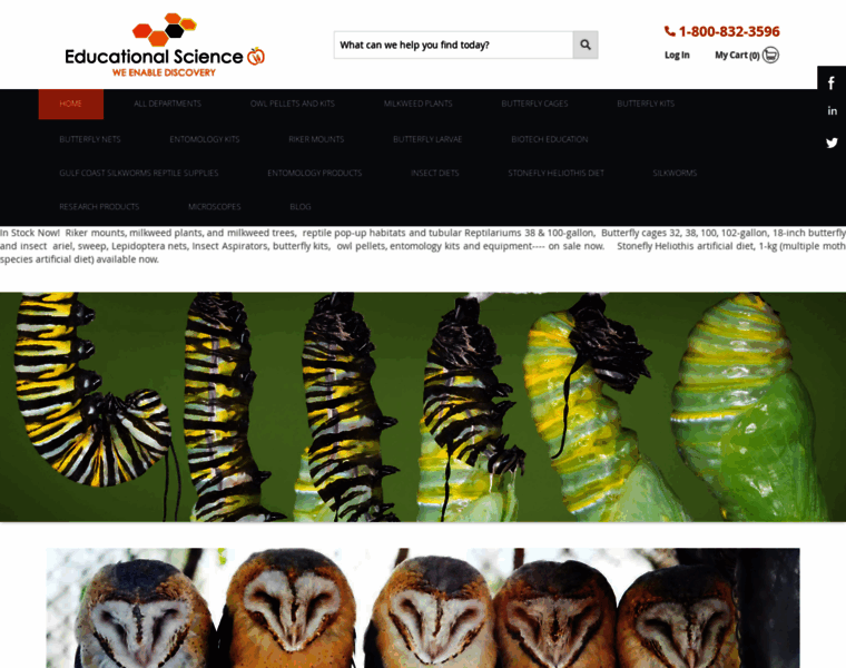 Educationalscience.com thumbnail