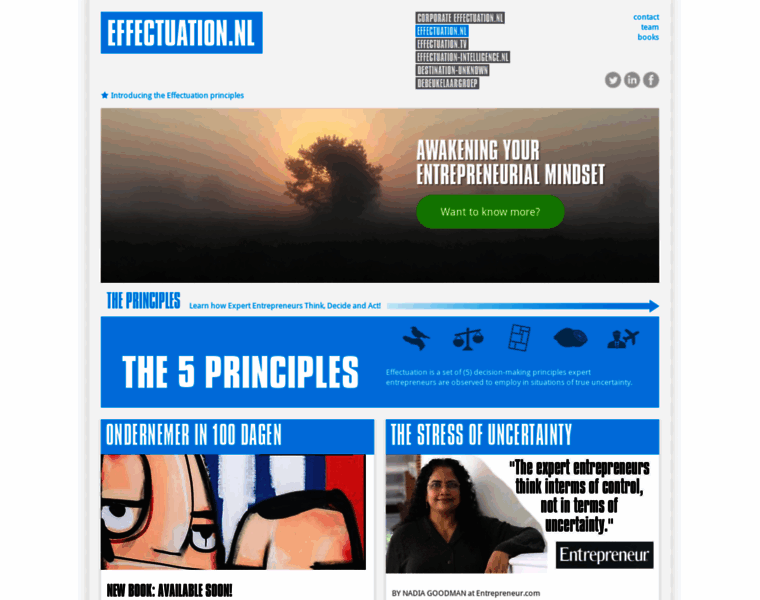 Effectuation.nl thumbnail