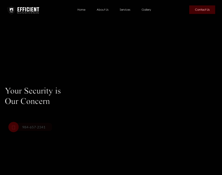 Efficientsecurity.in thumbnail