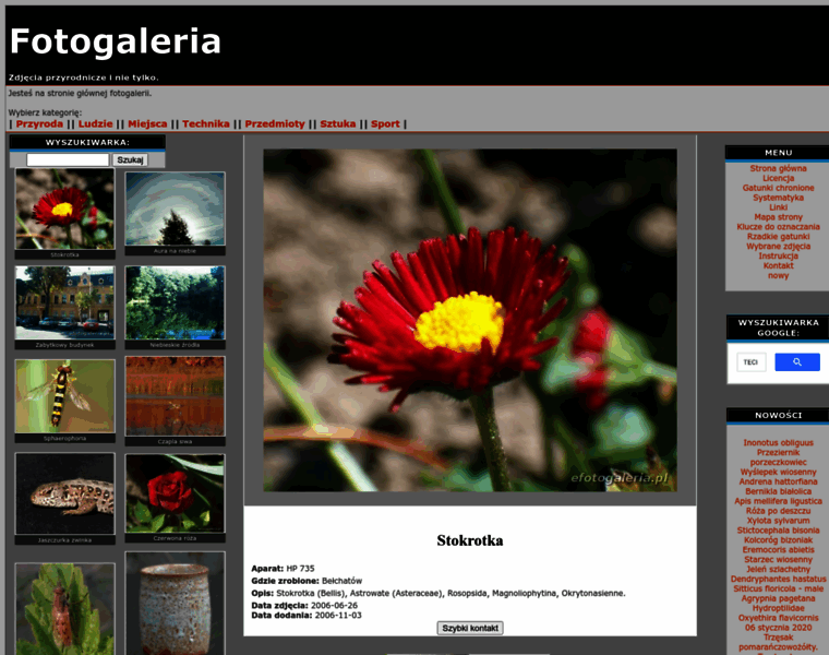 Efotogaleria.pl thumbnail