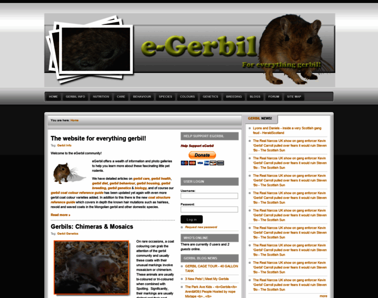 Egerbil.com thumbnail