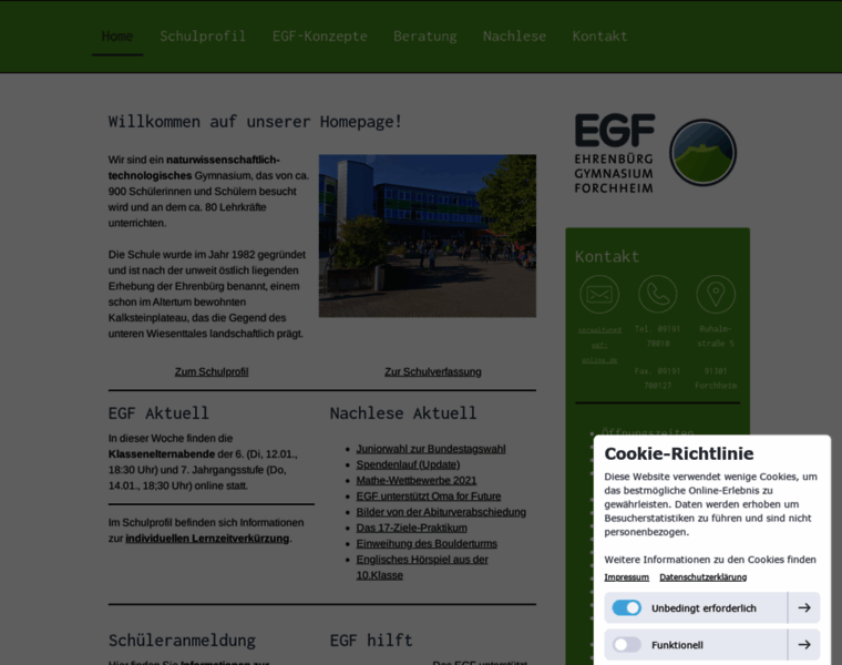 Egf-online.de thumbnail