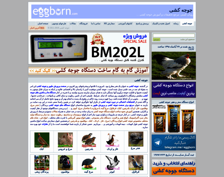 Eggborn.com thumbnail