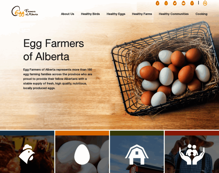 Eggs.ab.ca thumbnail