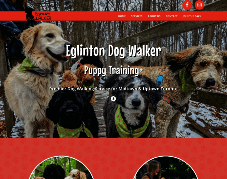 Eglintondogwalker.ca thumbnail