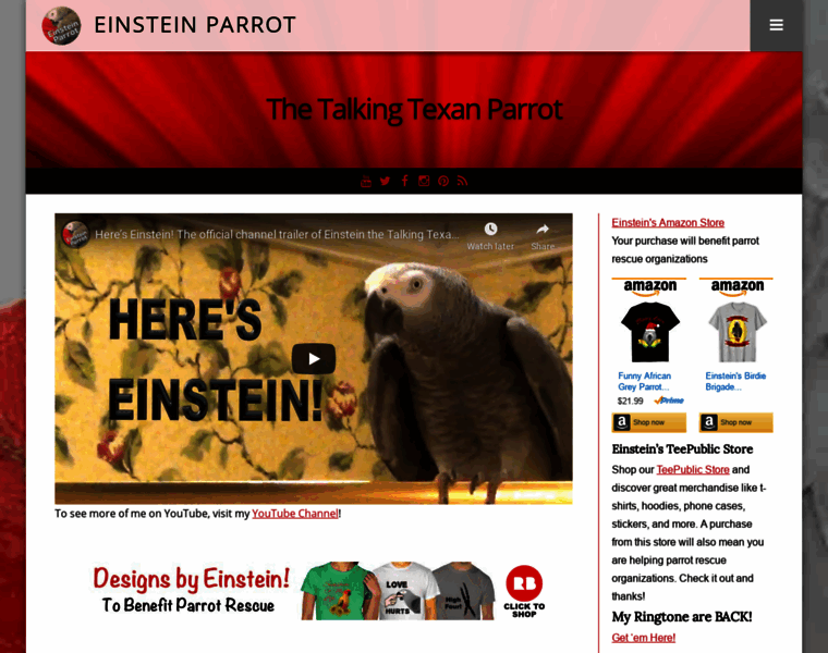 Einsteinparrot.com thumbnail