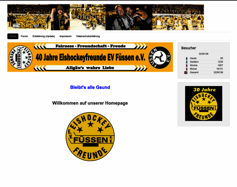 Eishockeyfreunde-evf.de thumbnail