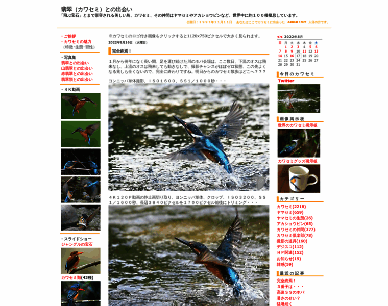 Eisvogel.jp thumbnail