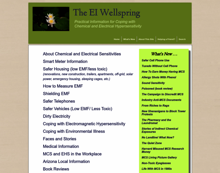 Eiwellspring.org thumbnail