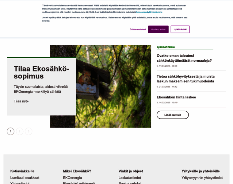 Ekosahko.fi thumbnail