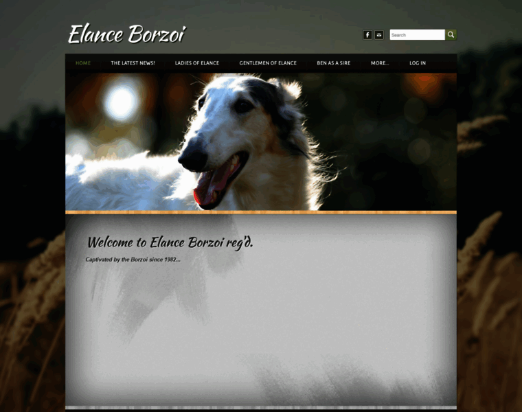 Elanceborzoi.com thumbnail
