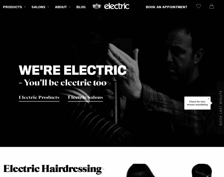 Electric-hair.com thumbnail