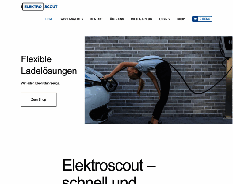 Elektroscout.ch thumbnail