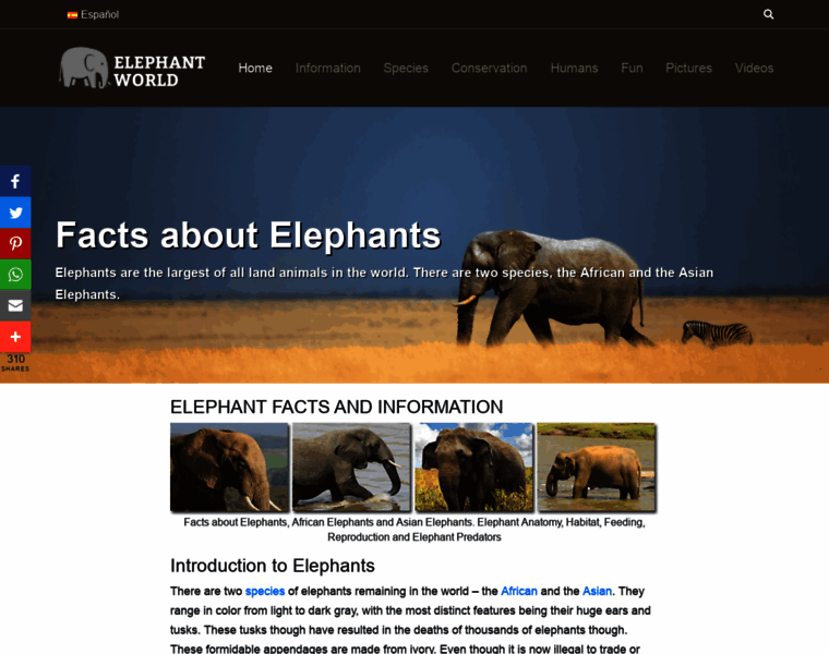 Elephant-world.com thumbnail