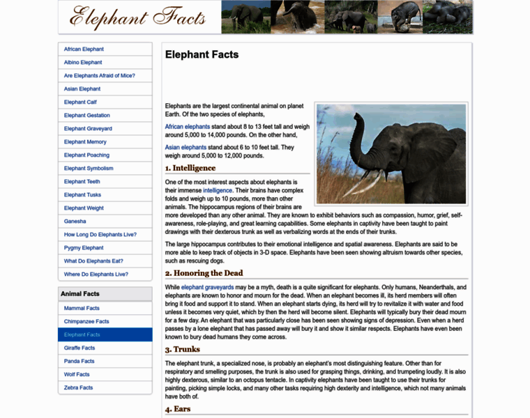 Elephantfacts.net thumbnail