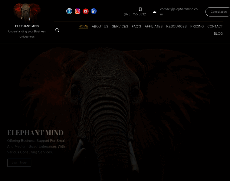 Elephantmind.com thumbnail Elephantmind.com thumbnail