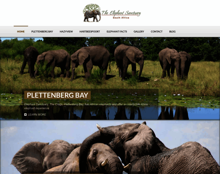 Elephantsanctuary.co.za thumbnail