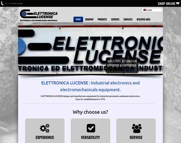 Elettronicalucense.it thumbnail