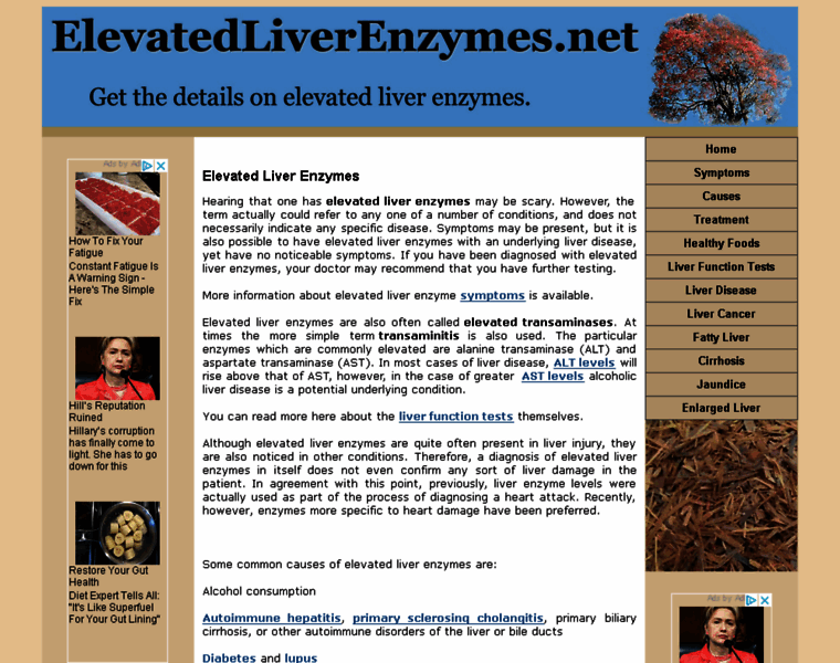 Elevatedliverenzymes.net thumbnail