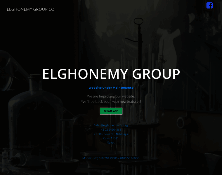Elghonemy-group.com thumbnail