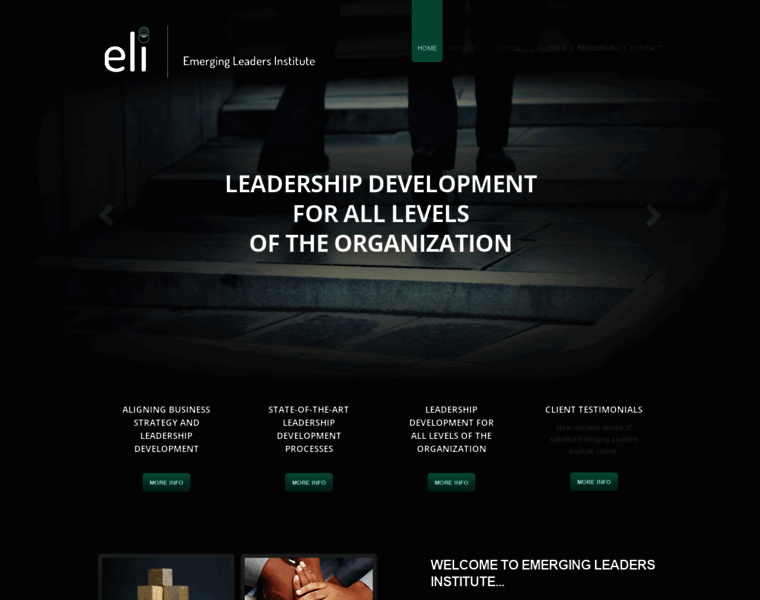Eli-leader.com thumbnail