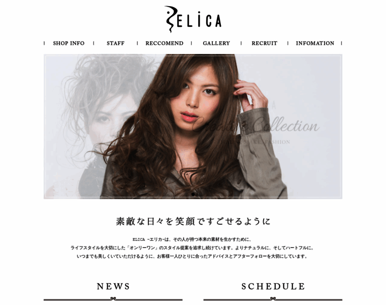 Elica.co.jp thumbnail