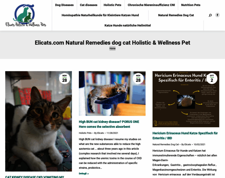 Elicats.com thumbnail