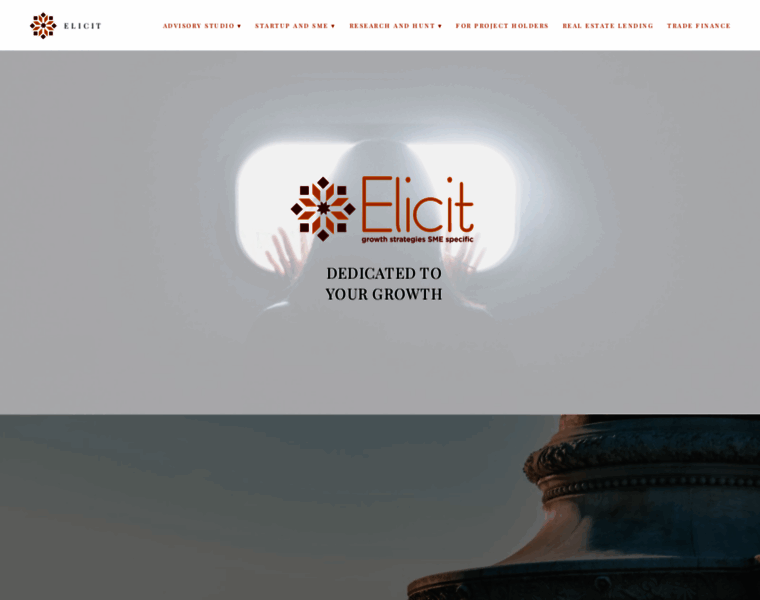 Elicit.eu.com thumbnail