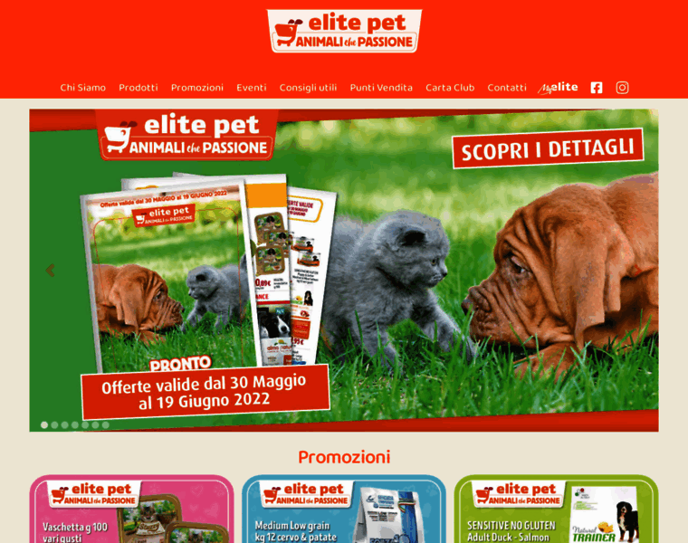 Elite-pet.it thumbnail
