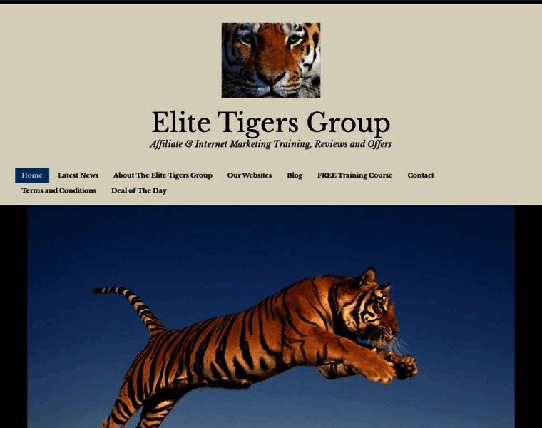 Elitetigersgroup.org thumbnail