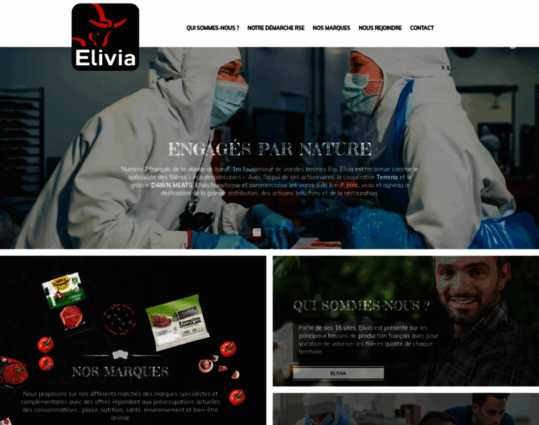 Elivia.fr thumbnail