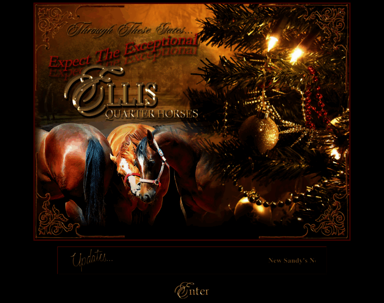 Ellisquarterhorses.com thumbnail