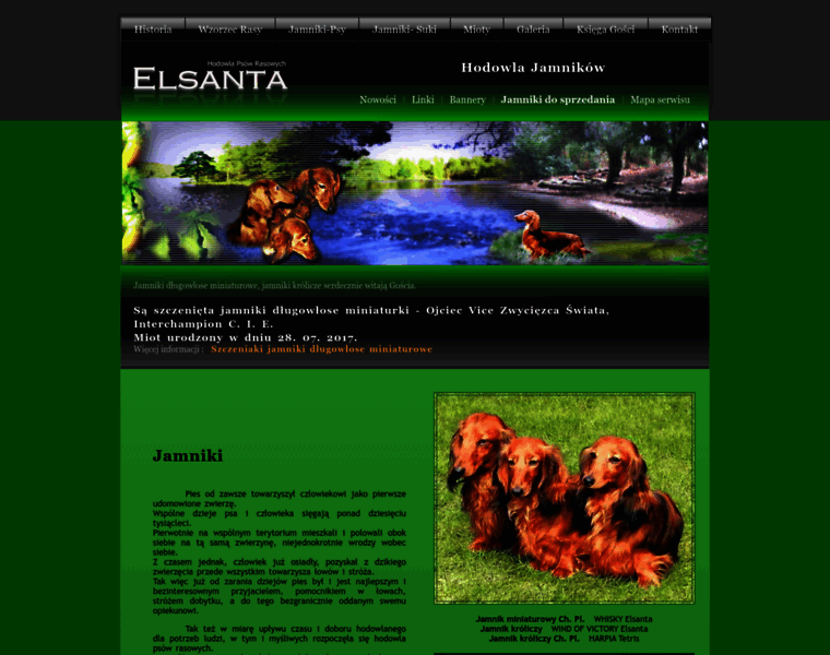 Elsanta.pl thumbnail