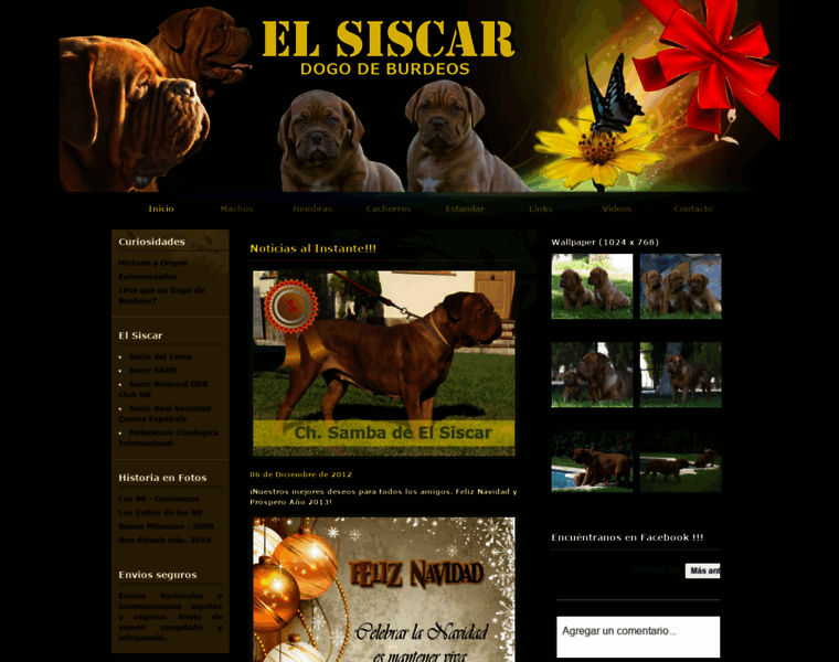 Elsiscar.net thumbnail