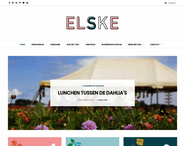 Elskeleenstra.nl thumbnail