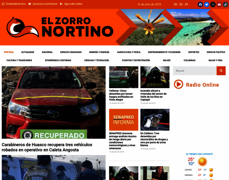 Elzorronortino.cl thumbnail