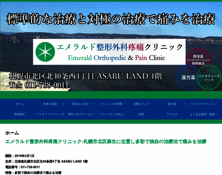 Emerald-orthopedic-pain-clinic.com thumbnail