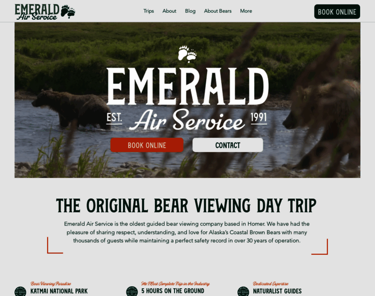 Emeraldairservice.com thumbnail