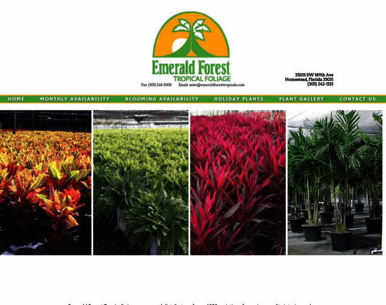 Emeraldforesttropicals.com thumbnail