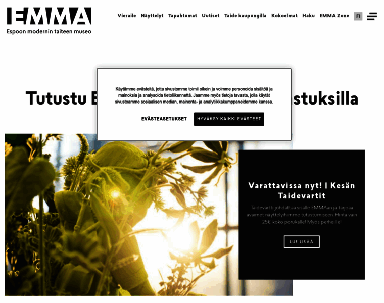 Emmamuseum.fi thumbnail