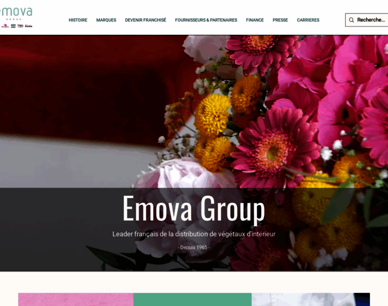 Emova-group.com thumbnail
