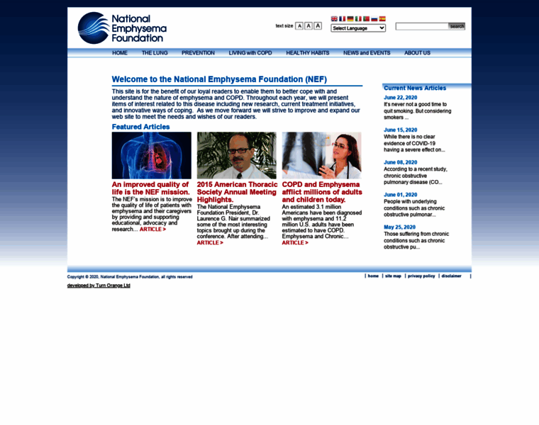 Emphysemafoundation.org thumbnail